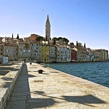 Dalmatina *